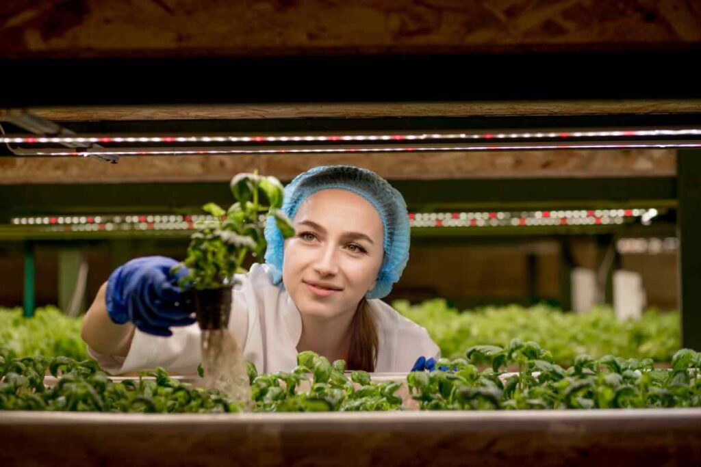 hobi tarımda en kolay yetiştirilen bitkiler