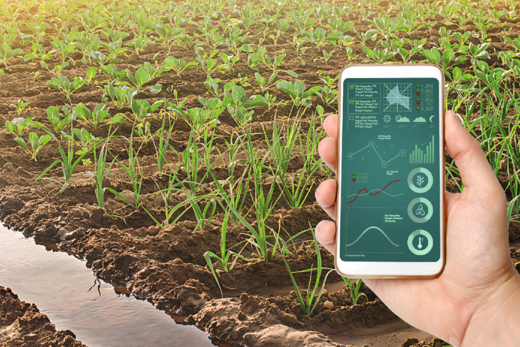 evde topraksız tarım