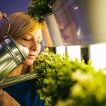 Hobi Tarım ile Balkonda Mini Bahçe Kurma Yöntemleri