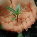 Hobi Tarım Stresi Azaltır mı? Bilimsel Gerçekler